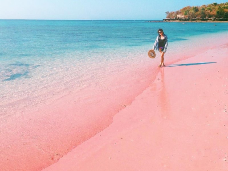 Pink Beach — Boat Charter Labuan Bajo